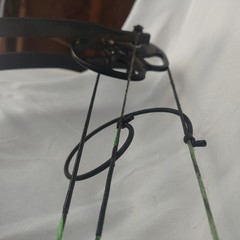bear cruzer g2 compound bow Moonshine Toxic Allen Company Pulse Compact Caliper