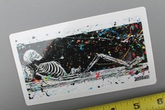 Deathwish Skateboards Skeleton Coffin Gothic Punk Z77 OG Skateboarding STICKER