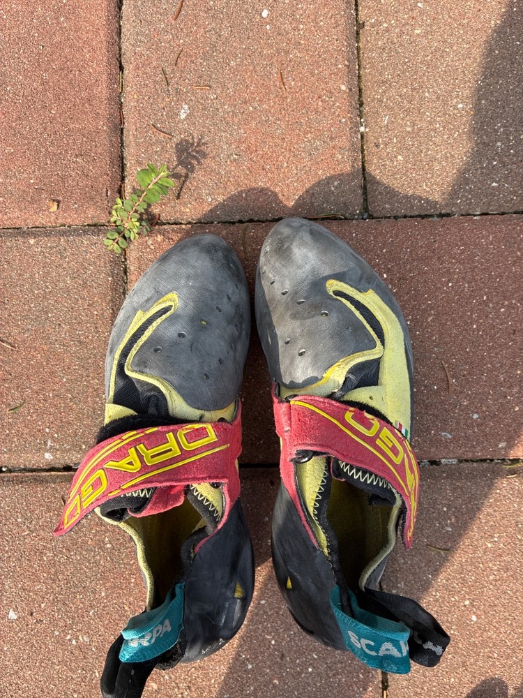scarpa drago climbing shoes, original, moderately worn, aggressive