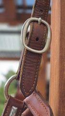 Vintage MacPherson Los Angeles Show Halter North & Judd Buckles Silver Overlay