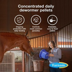 PyrantelCare Daily Dewormer 10 lb Horse Wormer Pellets Short Dated Exp 4/2026