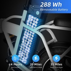 Windhorse W2A Folding Electric Bike 16in 630W 25MPH 35Mi 36V 8Ah