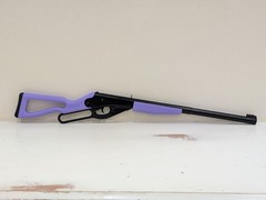 Daisy Buck Conversion Kit: Synthetic Stock & Forearm Combo – ANY COLOR