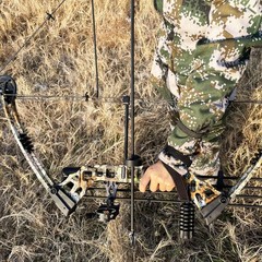 Archery Compound Bow Set 20-70 LBS, Draw Length 24-30, up to IBO 320 fps, Huntin