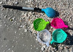 Rock Scooper, Sea Shell Scoop, Shark Teeth, Gift, Rock Collect, Rock Hunt Scoop