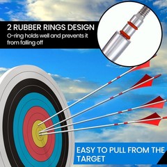 12Pcs Archery Field Points, 5/16-100Gra Field Points, Screw-In Archery Field Br