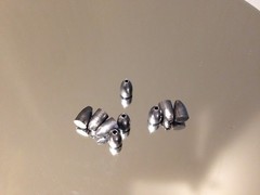 25 CAL HOLLOWPOINT PELLETS 45 GRAIN CUSTOM SWAGED 100 count