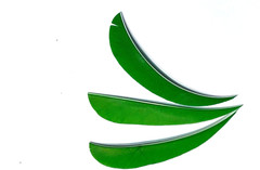 4″ New, FREE SHIPPING!! Real Turkey Feather Fletching for Arrows& Darts 50 Pack