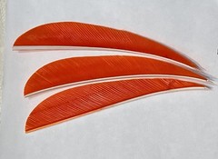 4″ New, FREE SHIPPING! Real Turkey Feather Fletching Arrows and Darts 25 Pack