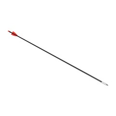30-60lbs Bow Archery Target Hunting Compound Bow Archery Compound Arrows Kit