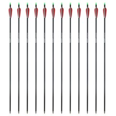 Hunting 12pcs 28″ Carbon Arrows Vane Spine 400 for Compound/Recurve Bows