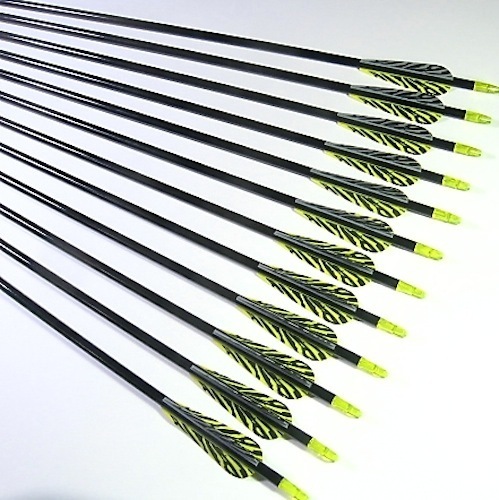 12 Shiny Black® 30″ Premium Fiberglass Hunting / Target Arrows w/ Screw-In F.P.