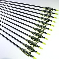 12 Shiny Black® 30″ Premium Fiberglass Hunting / Target Arrows w/ Screw-In F.P.