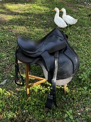 IMPORTED LEATHER SADDLE