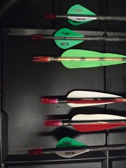 Martin Magnum Compound Bow Package – $325 W/Case & Arrows