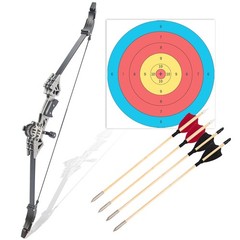 Compound Bow and Arrow Set, Mini Archery Bow Set with Arrows, Left and Right …