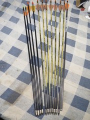 Mixed Lot of 12 Used Carbon Arrows 25.25 to 28.25 Inches Youth up to 40 lbs