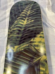 Element Skateboard Deck Gabriel Fortunato Jungle Rare Made In Spain 8” x 31.75”