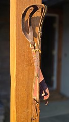 One Ear Slot Headstall Dark Oil with Brass Dots, Buckles and Conchos