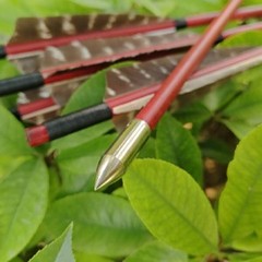 12Pcs Recurve Bow Wooden Arrows Nock Feather Traditional Archery Hunting Sp 500
