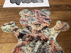 Grizzly Griptape Kush Bear Sticker Torey Pudwill Skateboarding Supreme 420