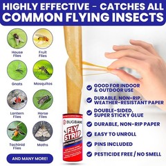 Versatile 10 Pack Fly Strips – Safe Indoor & Outdoor Sticky Pest Control