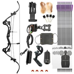 Compound Bow Arrow Kit 40-55lbs Archery Fiberglass Limbs Hunting Shooting Target