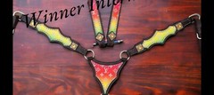 Western Horse Leather Tack Set / Red & Yellow Tack set