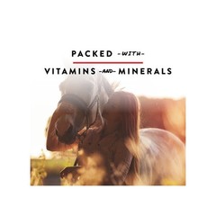 Flavored Bite-Sized Nuggets Horse Treats, 1 Pounds