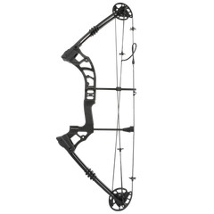 Compound Bow Arrow Set 0-70lbs Adjustable Archery Bow Hunting Shooting 320fps US