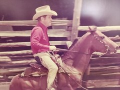 Large Vintage Dick Pieper Cutting Horse Picture Framed 16×20 Great Action Shot
