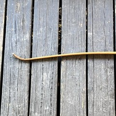 Handmade Antique Wood Recurve Bow 66” – *Make Not Known