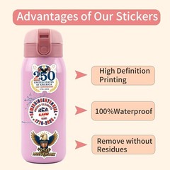 3 Random USA 250 Anniversary Patriotic Vinyl Stickers Decal Fun Mystery Pack
