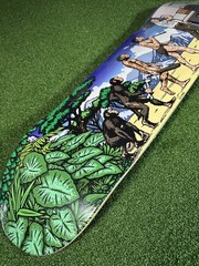 Supreme Evolution Skateboard Deck SS26