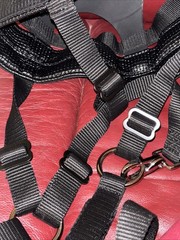 Barn and Stable adjustable Black Nylon/Rubber Horse Pony Yearling Grazing Muzzle