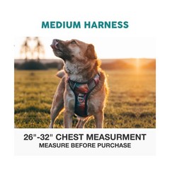 Embark Adventure No Pull Dog Harness, Reflective Trim No Pull Harne… Fast Ship