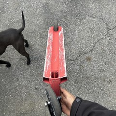 Phoenix Burner Professional Scooter