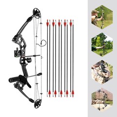 Compound Bow Recurve Bow w/ 12x Arrows Set Right Hand for Adult Hunting Training