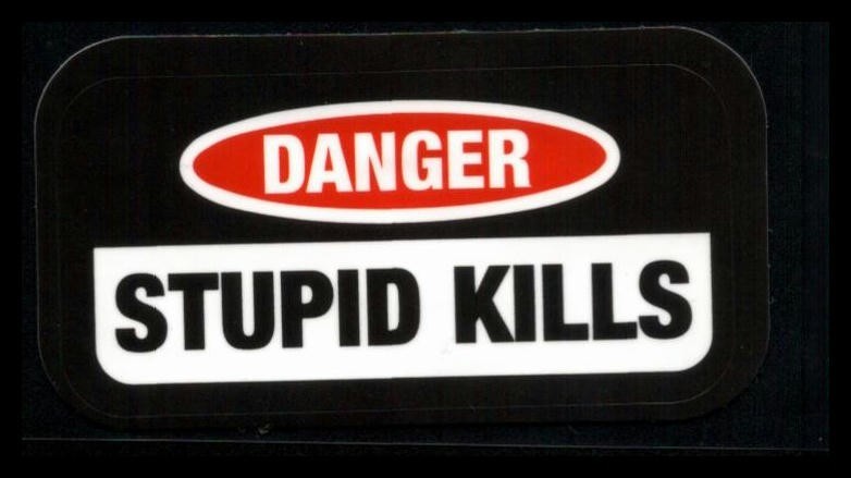 Danger Stupid Kills Sticker 3 Inches x 2 Inches Skateboard Decals
