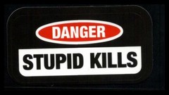 Danger Stupid Kills Sticker 3 Inches x 2 Inches Skateboard Decals