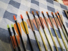 Mixed Lot of 12 Used Carbon Arrows 25.25 to 28.25 Inches Youth up to 40 lbs