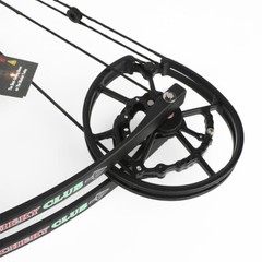 Dual-use Compound Bow Arrow Steel Ball 30-70lbs Let-off 80% Hunting Target RHLH