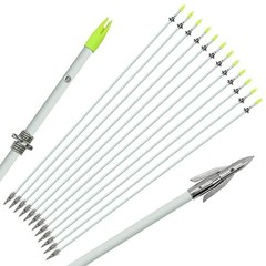 36″ Bowfishing Arrows 6/12 PCS – Fiberglass Fishing Arrows with Broadhead for Ar