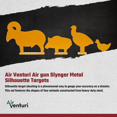 Airgun Target