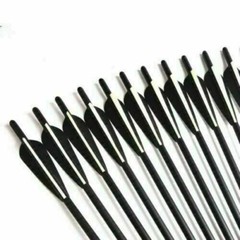 17″ 20″ 22″ Hunting Target Crossbow Bolts Archery Carbon Arrows OD8.8mm Crossbow