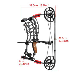 Dual-use Compound Bow Kit 30-70lbs Steel Ball Arrows Archery Outdoor Shoot RH LH