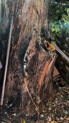 Takedown Recurve Bow RH 62” 60lb @28”