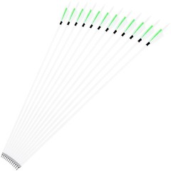 12X 30″ Archery Carbon Arrows Turkey Feather SP500 Recurve Bow Shooting Hunting