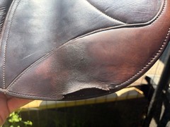 Voltaire Palm Beach Saddle 16.5 inch Full Buffalo Pro Panels 1A Flap