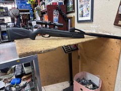 Gamo Swarm Whisper .22 Cal Pellet Break Barrel Rifle Air Gun